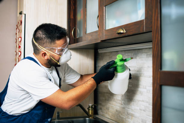 Best Rat Extermination Near Me  in Edgerton, WI