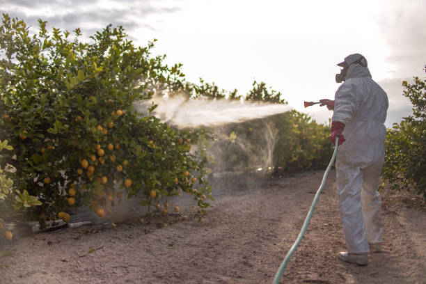 Best Pest Inspection Near Me  in Edgerton, WI